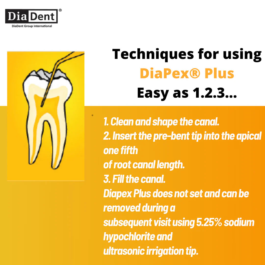 DiaDent DiaPex Plus - Calcium Hydroxide Paste with Iodoform mdental