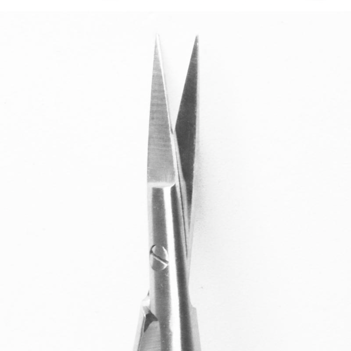 GDC Castroviejo Scissor Straight 12cm (S32) & Curved 12cm (S33) | Microsurgical Dental Scissors