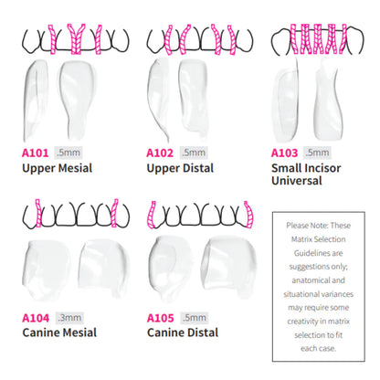 Bioclear Anterior Matrix - Clear Anatomical Sectional Matrices mdental