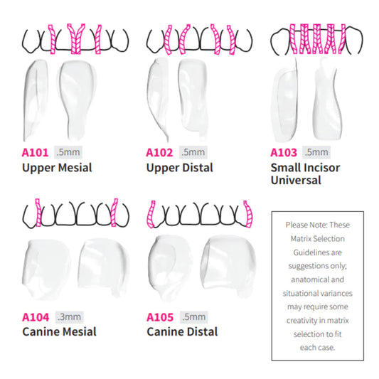 Bioclear Anterior Matrix - Clear Anatomical Sectional Matrices mdental