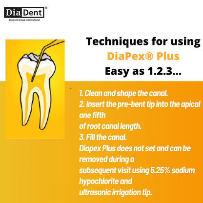 DiaDent DiaPex Plus - Calcium Hydroxide Paste with Iodoform mdental