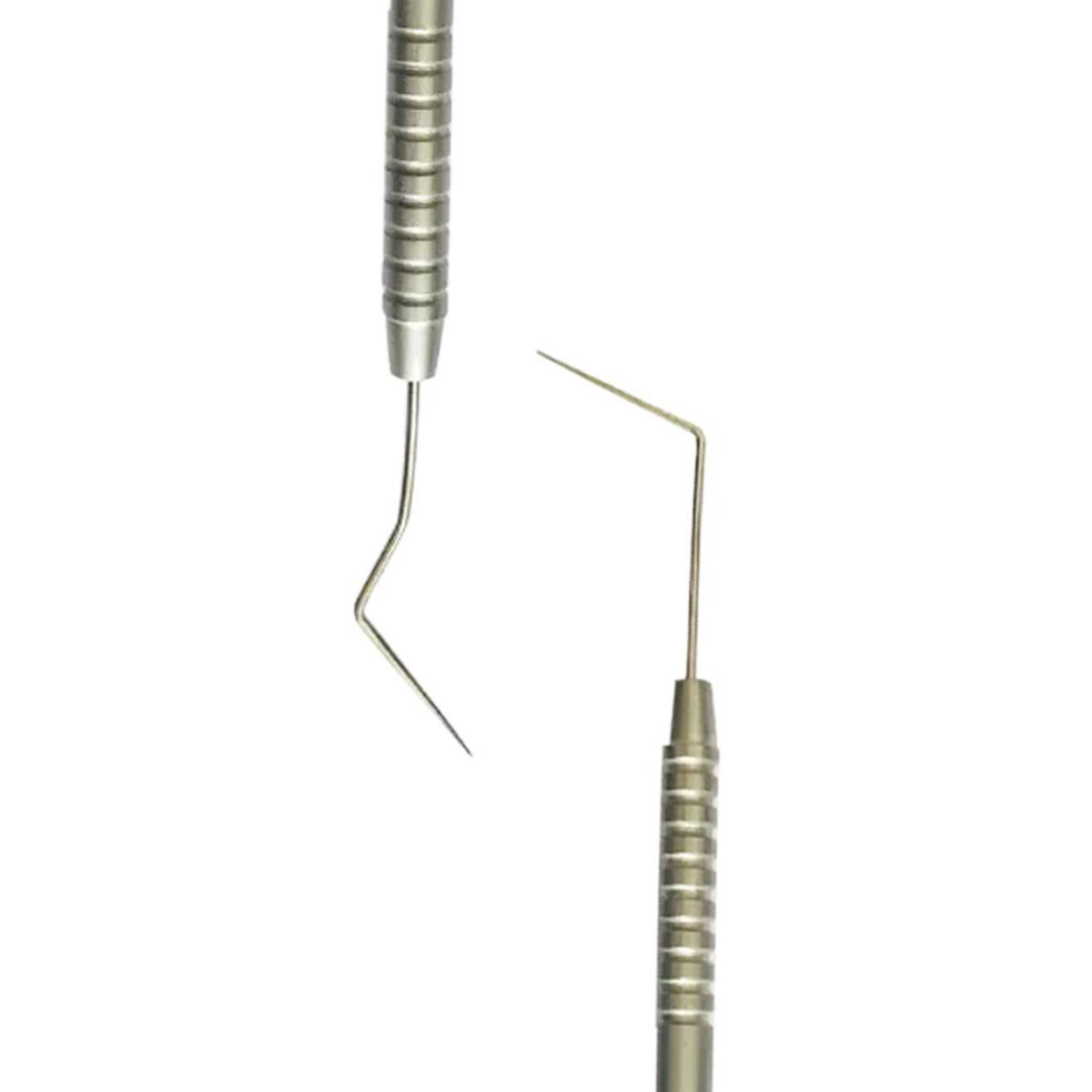 GDC Endo Explorer DG16 (EXDG16) | Stainless Steel Endodontic Explorer | BuyDental India